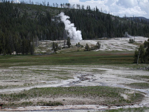 Geysers